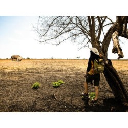 Erlebnisreisen Namibia: Safari, Sanddünen und unentdeckte Welten