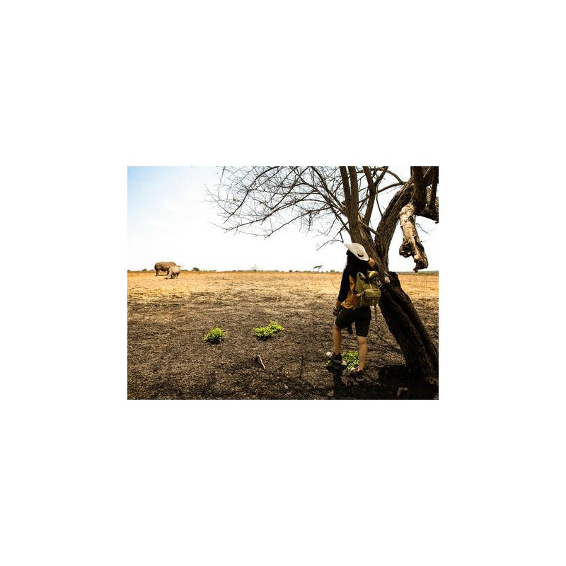 Erlebnisreisen Namibia: Safari, Sanddünen und unentdeckte Welten
