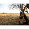 Erlebnisreisen Namibia: Safari, Sanddünen und unentdeckte Welten
