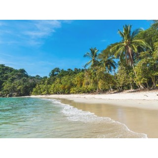 Erlebnisreisen Costa Rica: Von Vulkankratern zu paradiesischen Stränden
