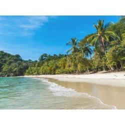 Erlebnisreisen Costa Rica: Von Vulkankratern zu paradiesischen Stränden