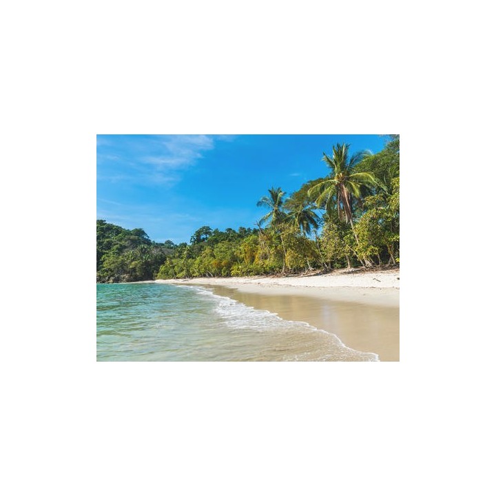 Erlebnisreisen Costa Rica: Von Vulkankratern zu paradiesischen Stränden