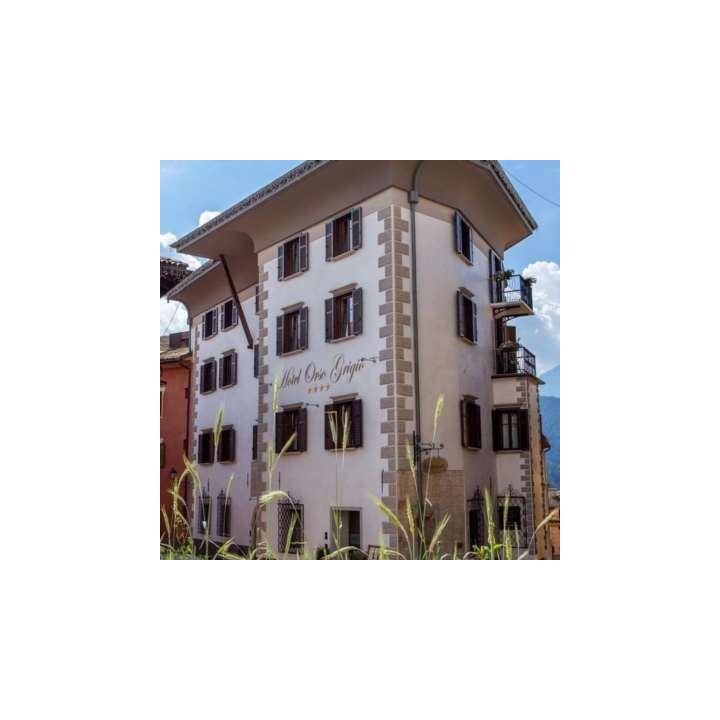 Hotel Orso Grigio