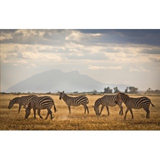 Kenia & Tansania: Wildlife Glamping trifft Inselparadies