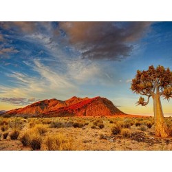 Rundreisen Namibia: Auf den Spuren wilder Natur und faszinierenden Kulturen