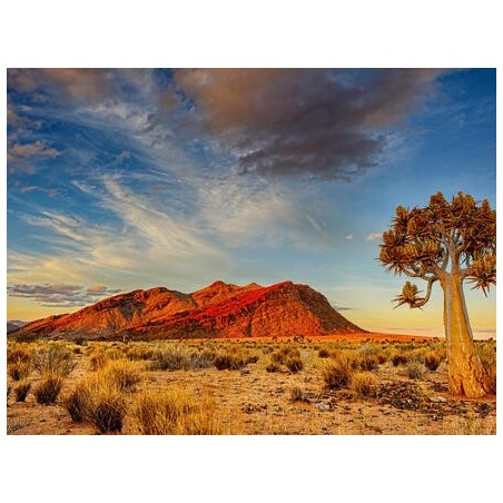 Rundreisen Namibia: Auf den Spuren wilder Natur und faszinierenden Kulturen