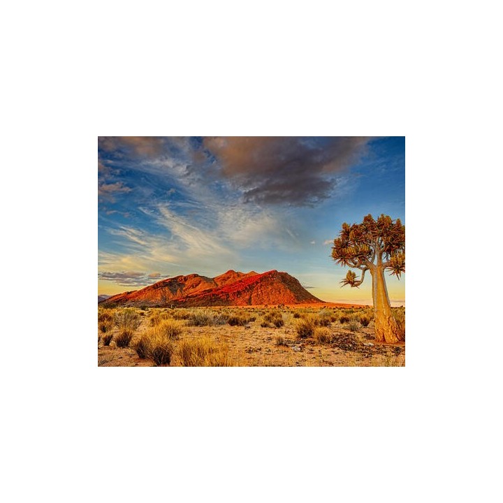 Rundreisen Namibia: Auf den Spuren wilder Natur und faszinierenden Kulturen