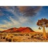 Rundreisen Namibia: Auf den Spuren wilder Natur und faszinierenden Kulturen