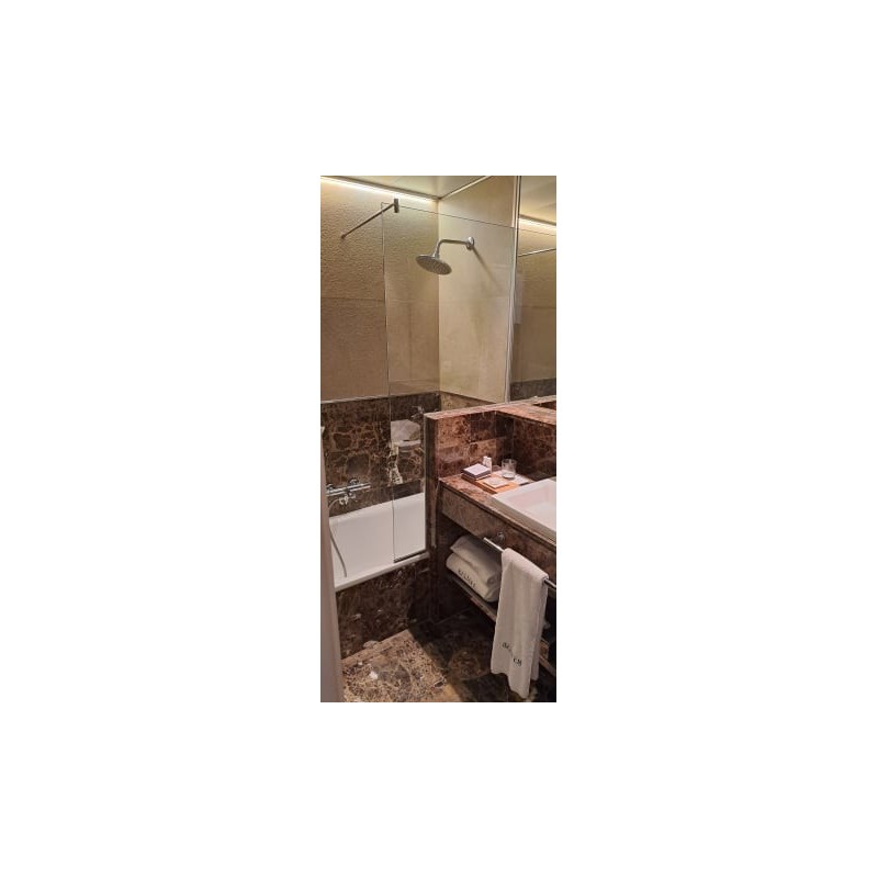 Hotel Balmes