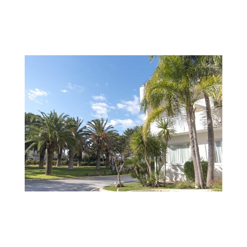 Grand Hotel Riva Del Sole