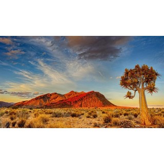 Rundreisen Namibia: Auf den Spuren wilder Natur und faszinierenden Kulturen