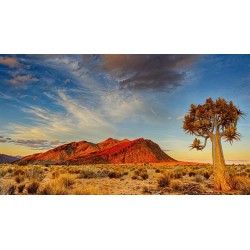 Rundreisen Namibia: Auf den Spuren wilder Natur und faszinierenden Kulturen