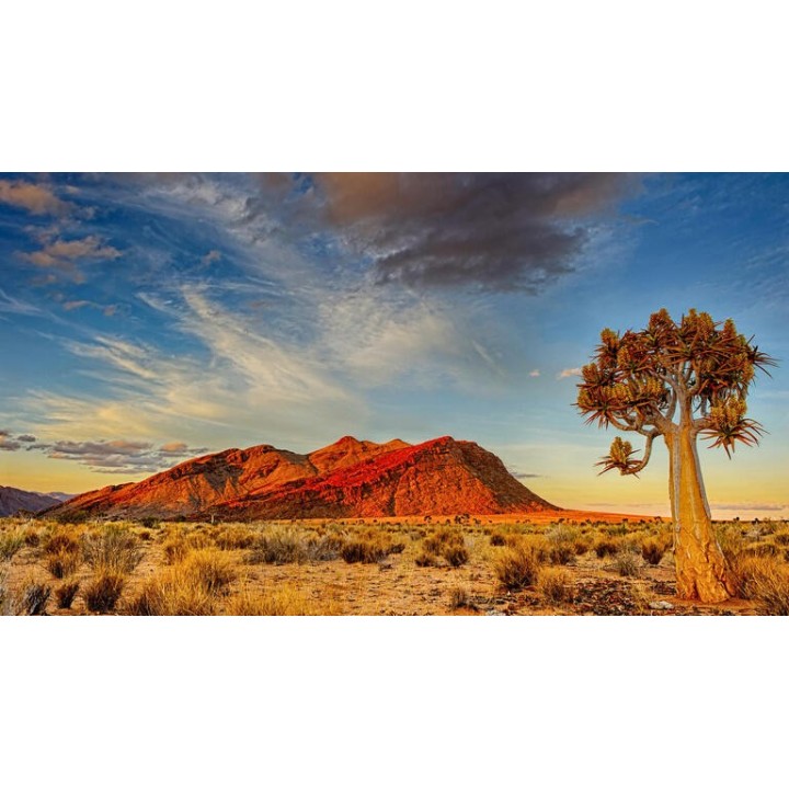 Rundreisen Namibia: Auf den Spuren wilder Natur und faszinierenden Kulturen