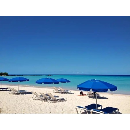 Island Inn