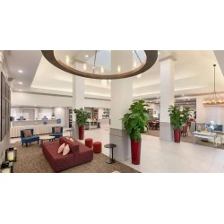 Hilton Garden Inn Fort Myers Airport/FGCU