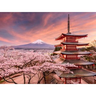 Rundreisen Japan: Zen-Gärten, Shinkansen und Fuji-Zauber