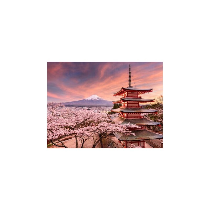 Rundreisen Japan: Zen-Gärten, Shinkansen und Fuji-Zauber