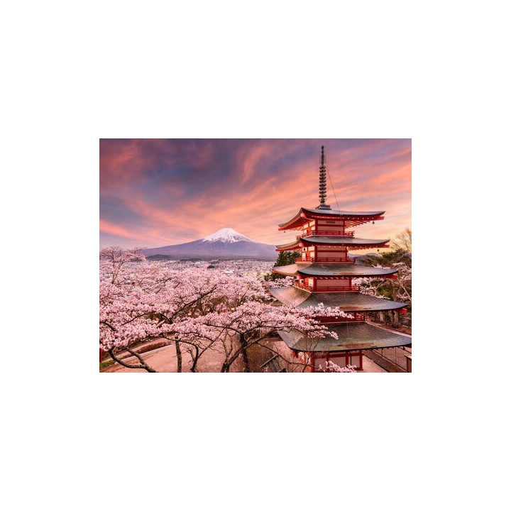 Rundreisen Japan: Zen-Gärten, Shinkansen und Fuji-Zauber