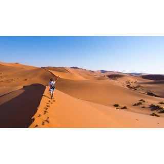 Rundreisen Namibia & Südafrika: Von Dünen, Wildnis und Küstenzauber