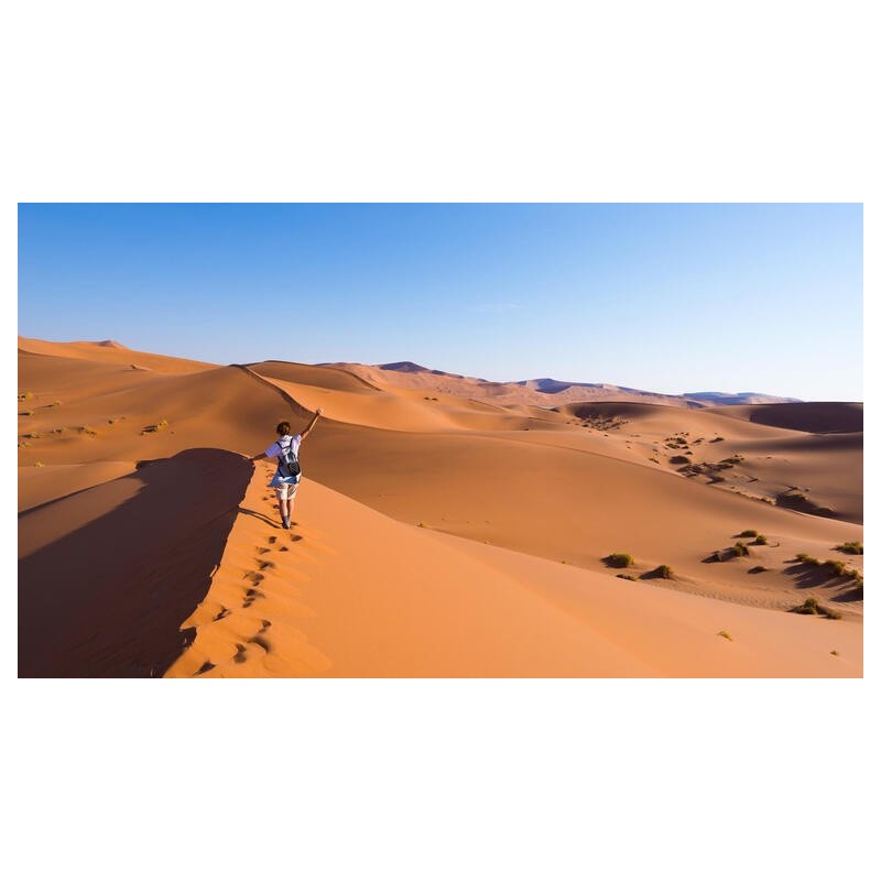 Rundreisen Namibia & Südafrika: Von Dünen, Wildnis und Küstenzauber
