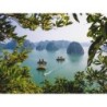 Erlebnisreisen Vietnam: Faszinierende Kontraste: Tempel und Halong-Bucht