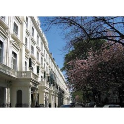 Caesar Hotel