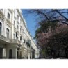 Caesar Hotel