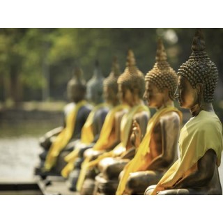 Rundreisen Sri Lanka: Entdeckung der Löweninsel