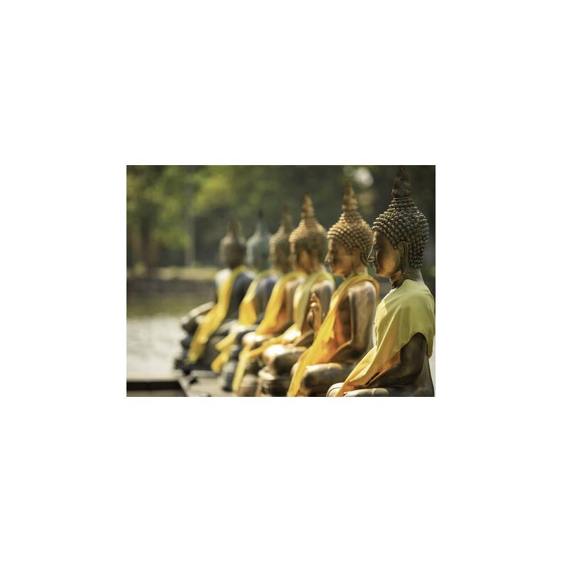 Rundreisen Sri Lanka: Entdeckung der Löweninsel
