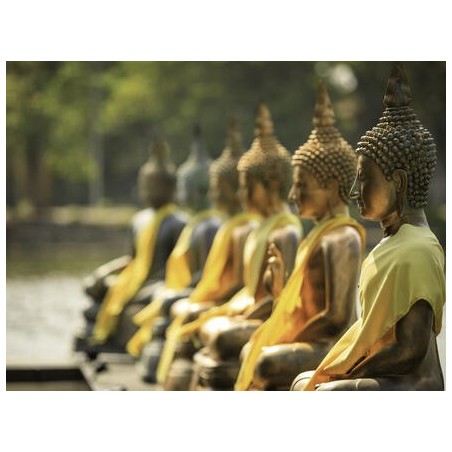 Rundreisen Sri Lanka: Entdeckung der Löweninsel