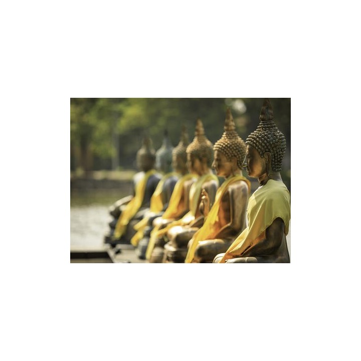 Rundreisen Sri Lanka: Entdeckung der Löweninsel