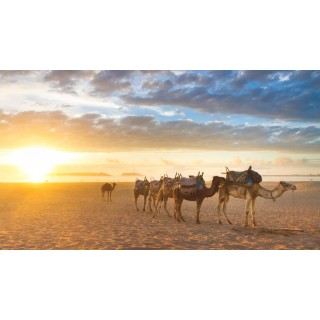 Rundreisen Marokko: Königsstädte und Wüstenzauber