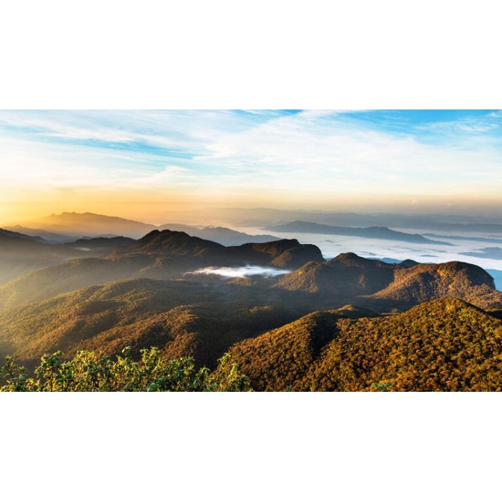 Rundreisen Sri Lanka: Ein Paradies aus Geschichte und Natur