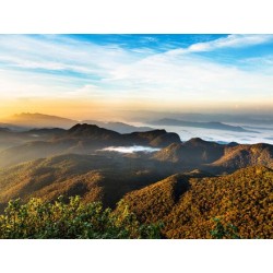 Erlebnisreisen Sri Lanka: Ein Paradies aus Geschichte und Natur