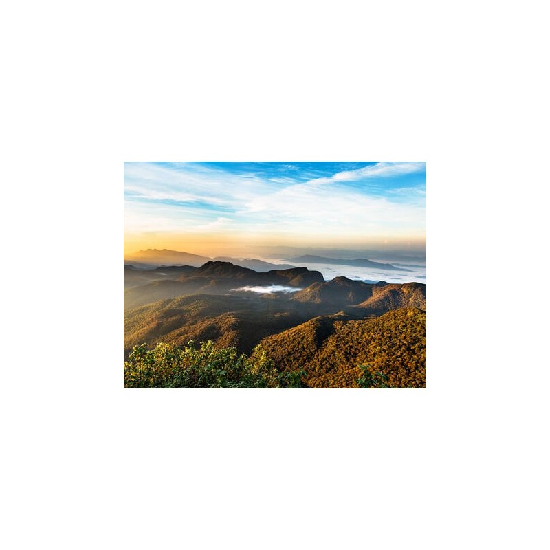Erlebnisreisen Sri Lanka: Ein Paradies aus Geschichte und Natur