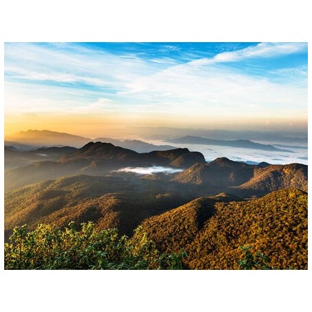 Erlebnisreisen Sri Lanka: Ein Paradies aus Geschichte und Natur