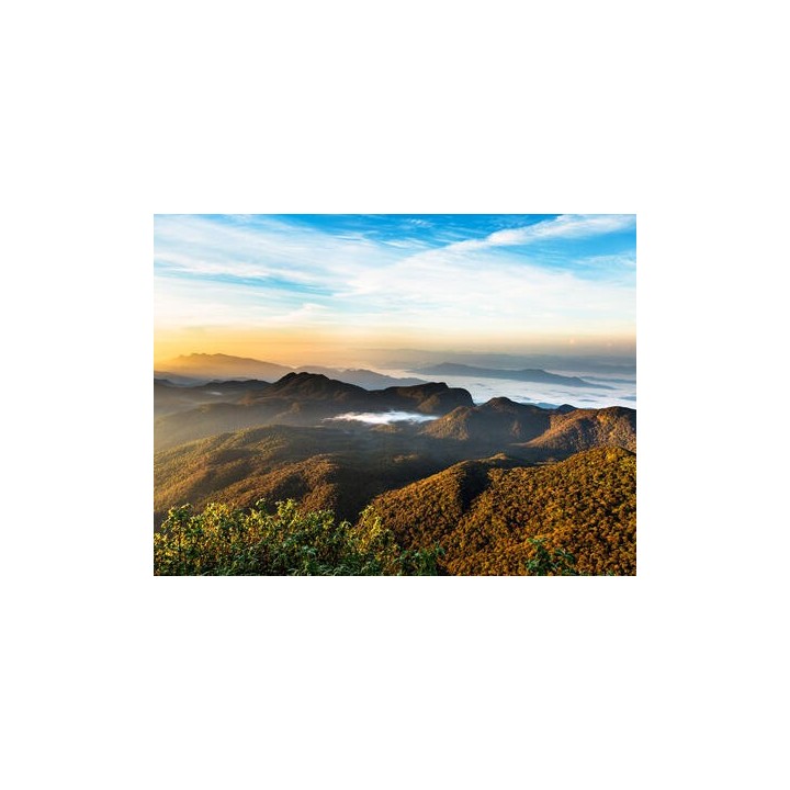 Erlebnisreisen Sri Lanka: Ein Paradies aus Geschichte und Natur