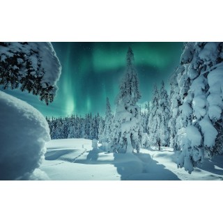 Finnland Signature: Polar Lights im Nature Igloo