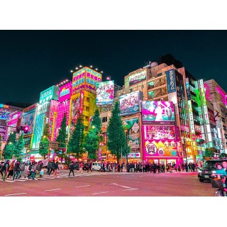 Japan City & Beach: Meet me in Tokyo & Okinawa!