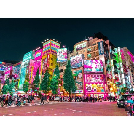 Japan City & Beach: Meet me in Tokyo & Okinawa!
