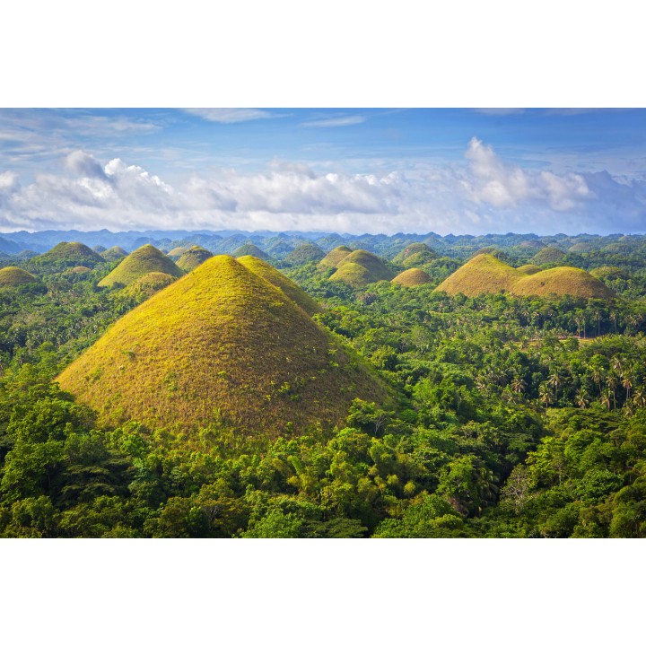 Philippinen Bucketlist: Chocolate Hills & Palmtree Thrills!