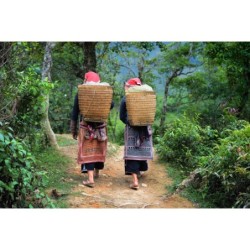 Laos adventure: Jungle Drums meet Local Life!