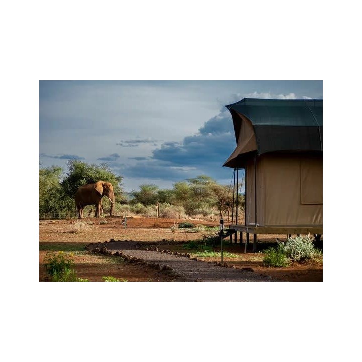 Kapstadt, Kenia & Sansibar: Safari Nights to Island Vibes