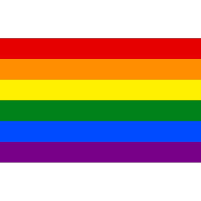 Flagge Regenbogen 90 x 150 cm