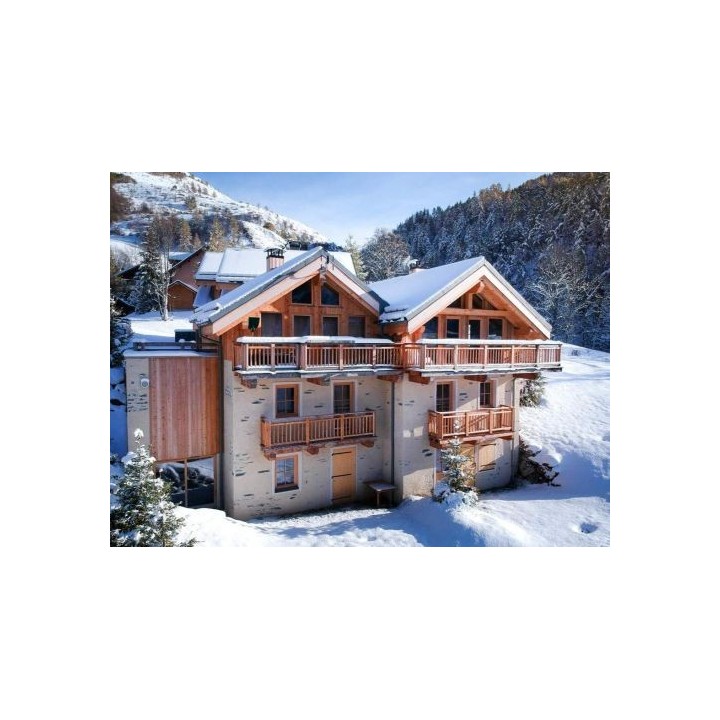 Ferienhaus Les Lions Blancs  - 12 Personen