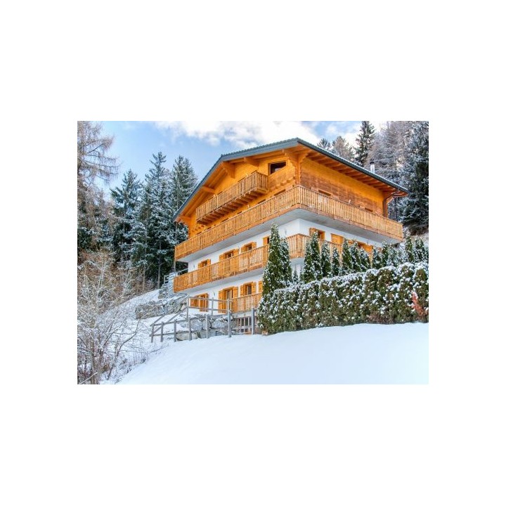 Ferienhaus Julia mit eigener Sauna - 20-22 Personen