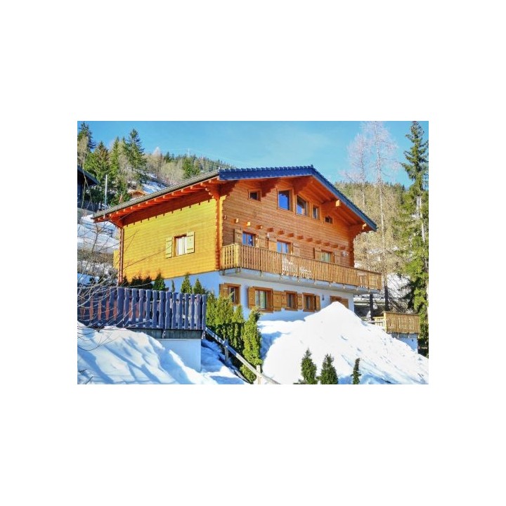 Ferienhaus Michelle mit eigener Sauna - 16 Personen