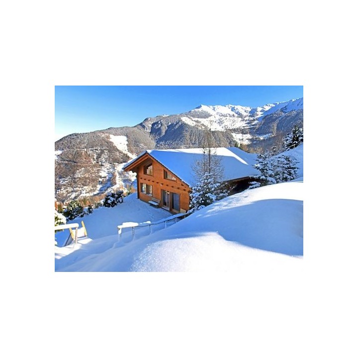 Ferienhaus Alpina mit eigener Sauna - 10-12 Personen