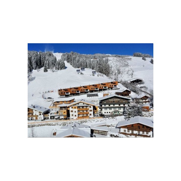 Ferienhaus Bachgut Berg Chalet  - 16 Personen