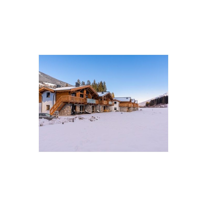 Ferienhaus Pinzgau Lodge 2C - 8-10 Personen